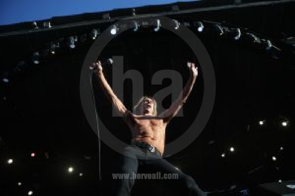 Iggy Pop performing live at Palo