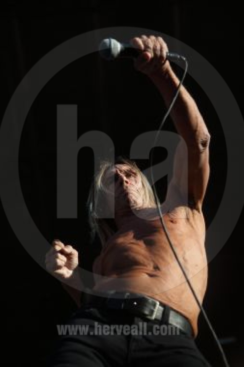 Iggy Pop with microphone