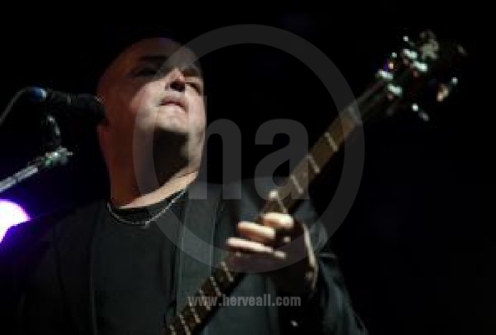 Alain Johannes performing live