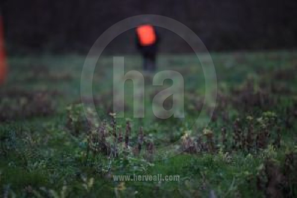 La Chasse / The Hunting 0797