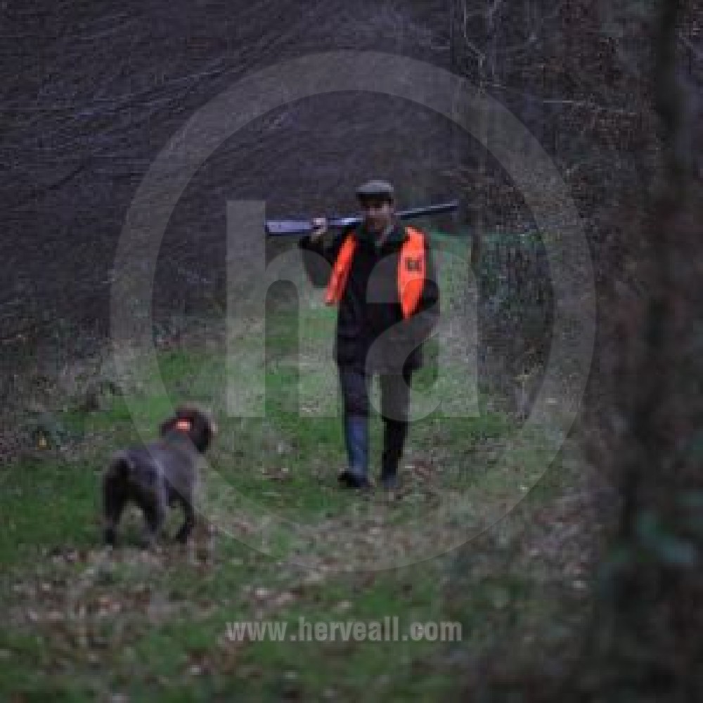 La Chasse / The Hunting 0802