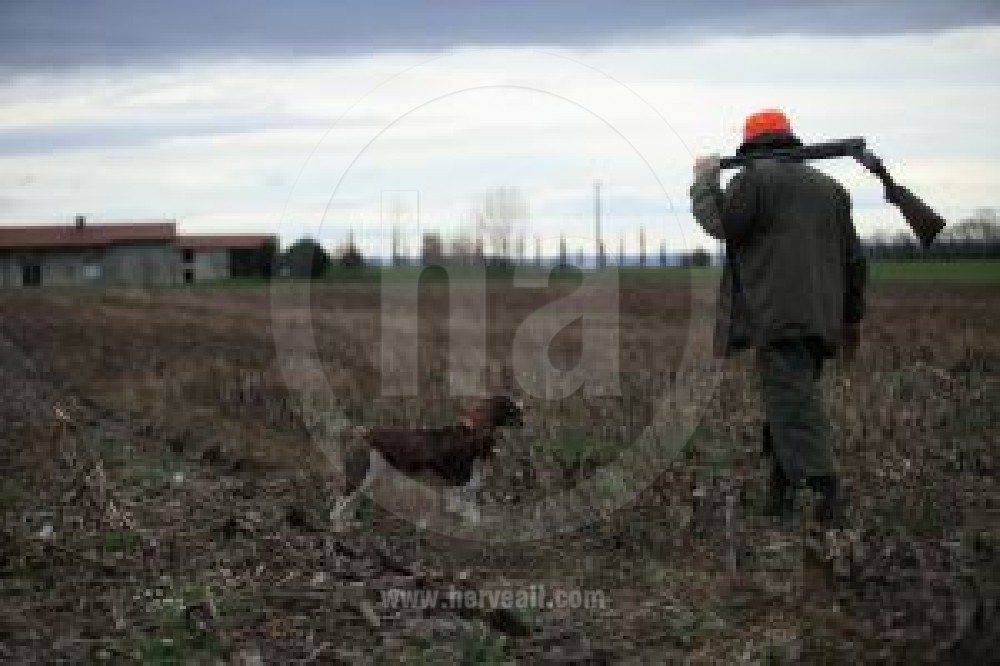 La Chasse / The Hunting 0845