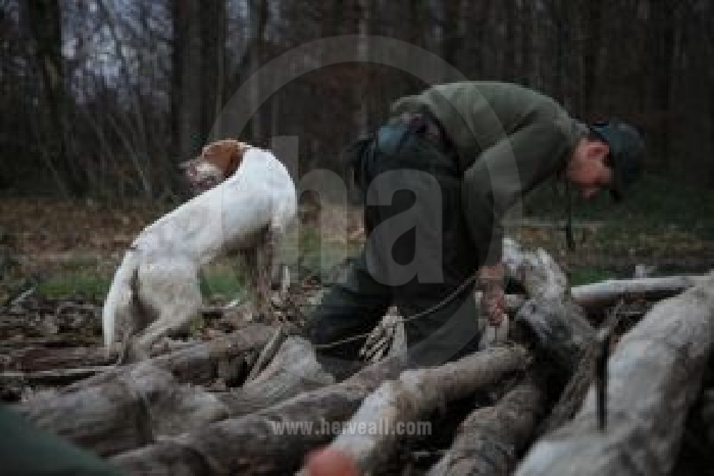 La Chasse / The Hunting 0882