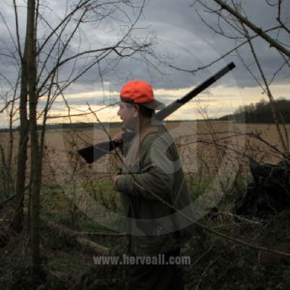 La Chasse / The Hunting 0972