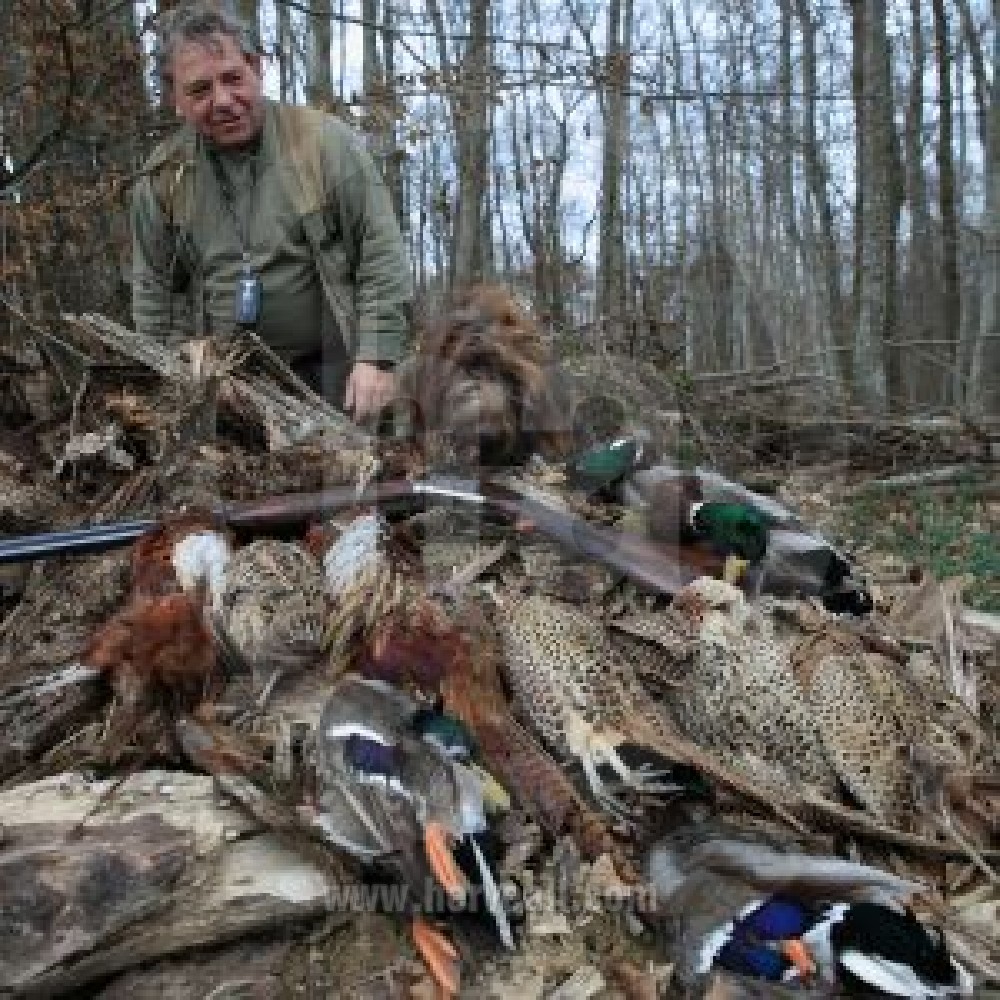 La Chasse_The Hunting